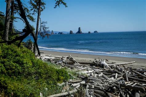 Best Olympic National Park Beaches To Explore Go Wander Wild