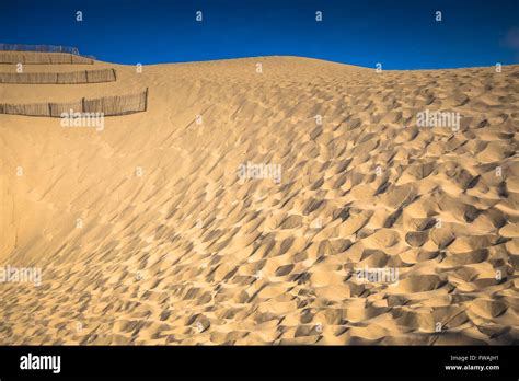 Dune Du Pyla The Largest Sand Dune In Europe Aquitaine France Stock