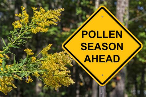 Caution Sign – Pollen Season Ahead – ASCENSION HEALTHY LIVING