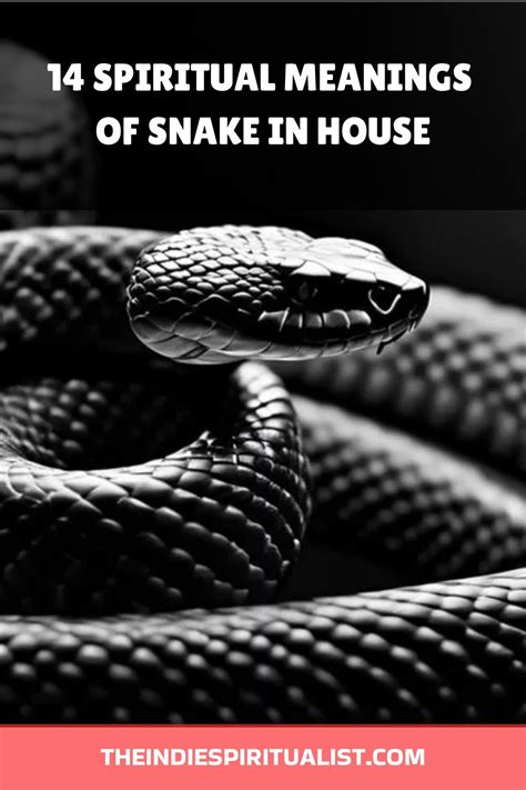 Pin On Spiritual Meaning Of Snakes