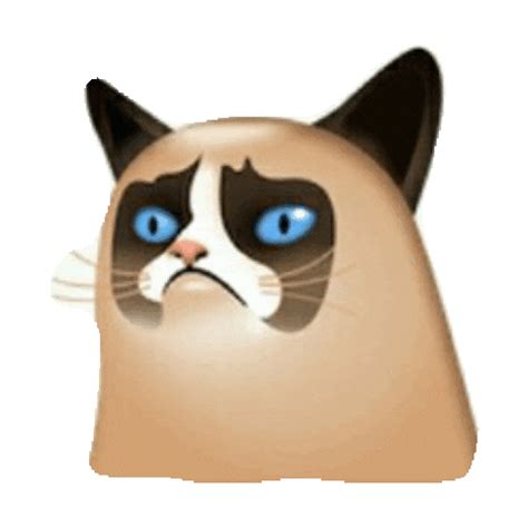 Grumpy Cat Sticker by imoji for iOS & Android | GIPHY