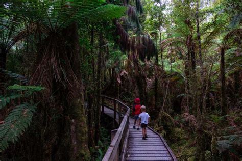 The Magic of the Reflection: Lake Matheson Walk, West Coast, NZ