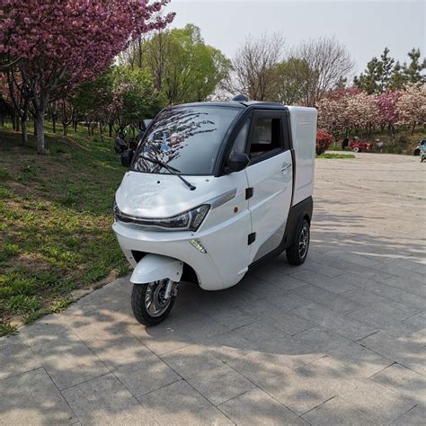 EEC Approval 3000W 3 Wheel Cabin Mobility Scooter Cargo Electric