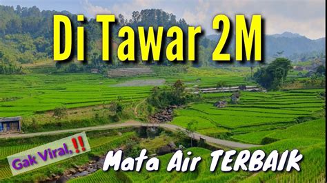 Swiss Nya Garut Ni Boss Ada Mata Air Ajaib Yg Di Tawar Aqua Semakin