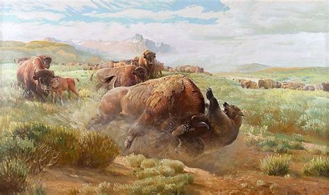 John Clymer (1907–1989), Territorial Dispute. | Wildlife art, North ...