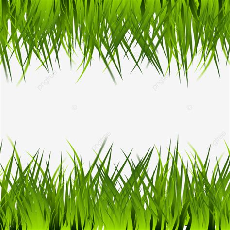 Realistic Grass Vector PNG Images Grass Green Realistic Flowers Grass