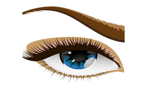 Eye Png Brown Eyes Transparent Background - Clip Art Library