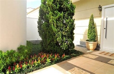 Découvrir 48 kuva plantas lindas para jardim Thptnganamst edu vn