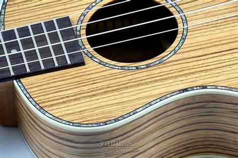 Amahi Snail Series Ukulele Zebrawood Tenor Reverb Ukulele Zebra