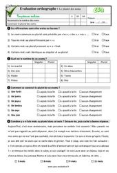 Evaluation Quiz Qcm Accord Du Nom Pluriels Particuliers Ce Pdf