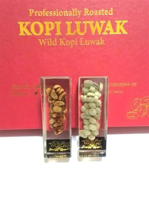 Worcas Kopi Luwak Beans Figurine Food Drinks Beverages On Carousell