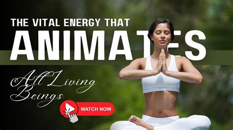 The Vital Energy That Animates All Living Beings Youtube