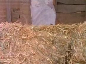 Elsa Montes Nude Aznude