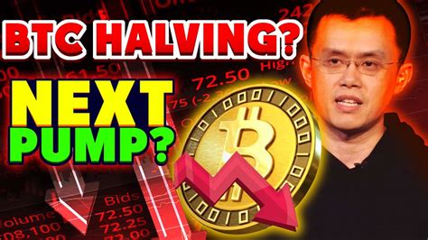 Bitcoin Btc Pumps Past 20 500 Upcoming Bitcoin Halving In 2024