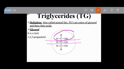 Ch2 Lipids Part 1 Youtube