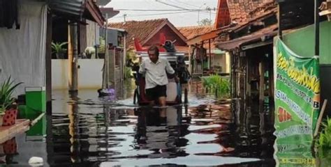 Banjir Rob Kembali Rendam Ratusan Rumah Di Kota Pekalongan