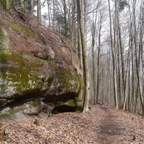 Wandern Pf Lzer Rundwanderung Mit Einkehr Waldhaus Starkenbrunnen