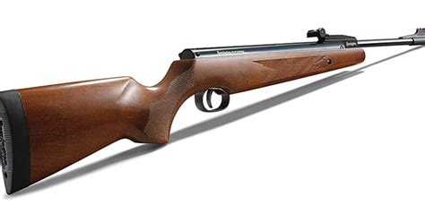 Is 2015 The Year Of The Airgun? | Hunting Retailer