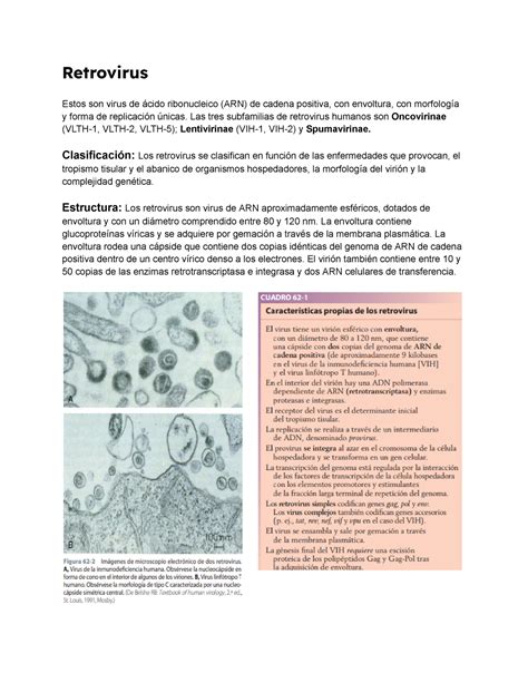 Retrovirus Resumen De Microbiologia Patologia E Inmunidad