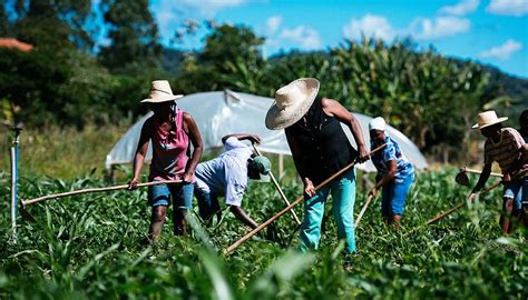 La Agricultura Familiar Debe Realizar Una Transformaci N Para Enfrentar