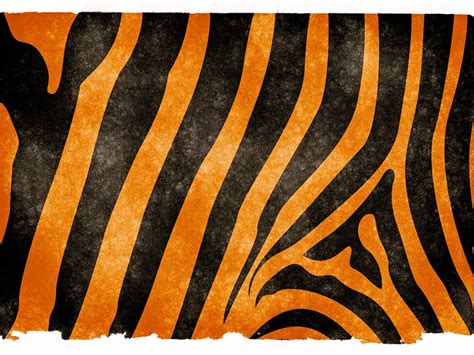 Tiger Stripes Wallpapers - Wallpaper Cave