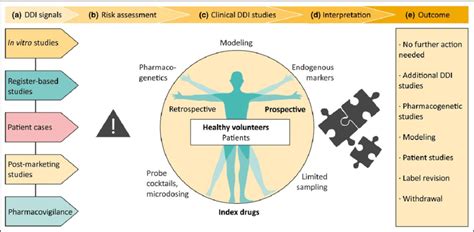 Investigation Of Drug Drug Interactions Ddis A Signals Of A