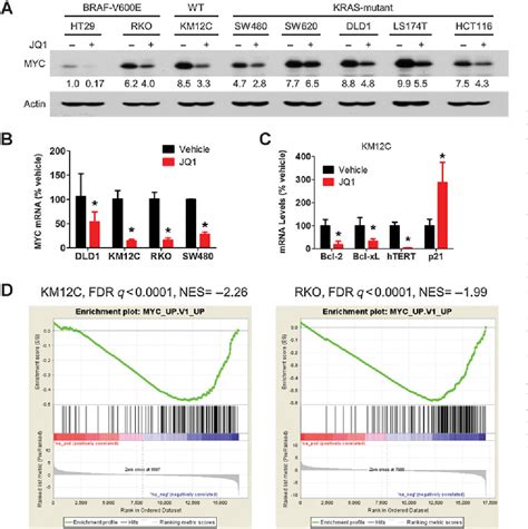 Figure From The Mapk Pathway Regulates Intrinsic Resistance To Bet