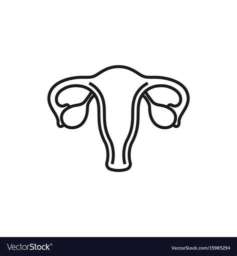 Female Reproductive System Icon Royalty Free Vector Image