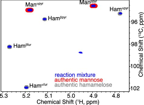 Spectral region from the ¹H¹³C HSQC of the reaction mixture displayed