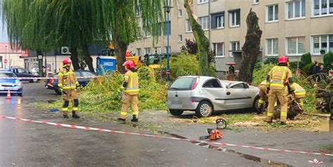 Wichura przewracała drzewa Krok od tragedii ZDJĘCIA OSTROW24 tv