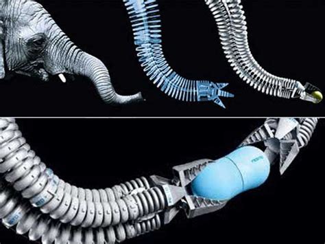 Festo Bionic Handling Assistant Robotic Arm Inspired By Elephants