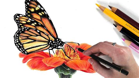 Master the Art of Flower Drawing with Color Pencils: A Step-by-Step Guide