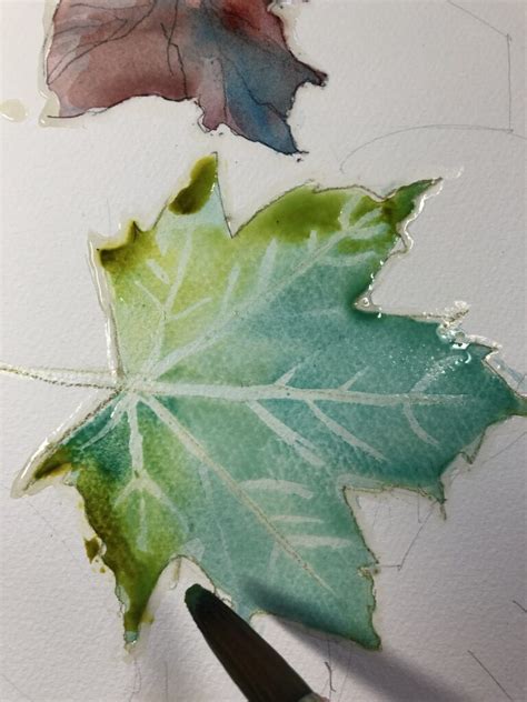 How To Paint Autumn Leaves In Watercolour Artists Illustrators