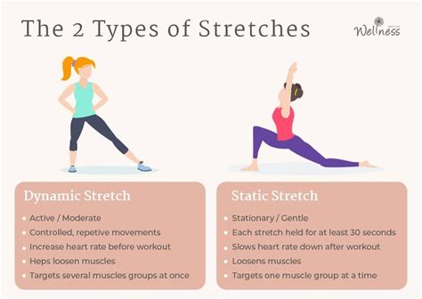 Top 10 Stretching Exercises Daily Body Stretching Routine For Optimal Health