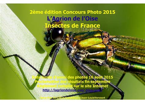 Dernier Rappel Concours Photos Insectes De France L Agrion De