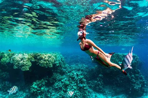 10 Best Places To Go Snorkelling In Puerto Vallarta What Is The Most Popular Beach For