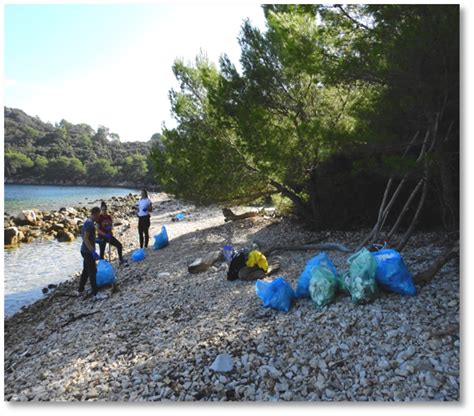 Webinar Marine Litter How To Monitor And Suppress The Threat That