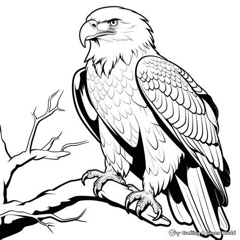 Cute Eagle Clipart Black And White