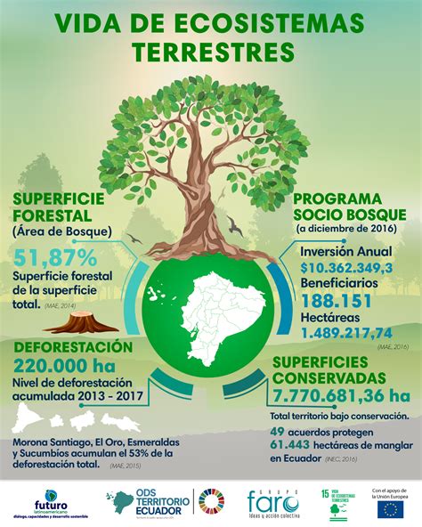 Vida Terrestre Ods Resumo Librain