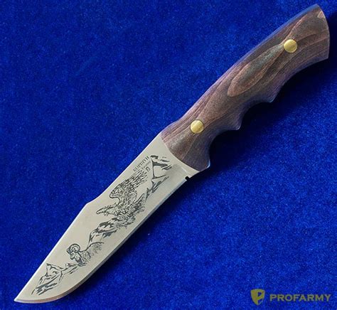 Нож Коршун сталь 65х13. Ножи Кизляр-1