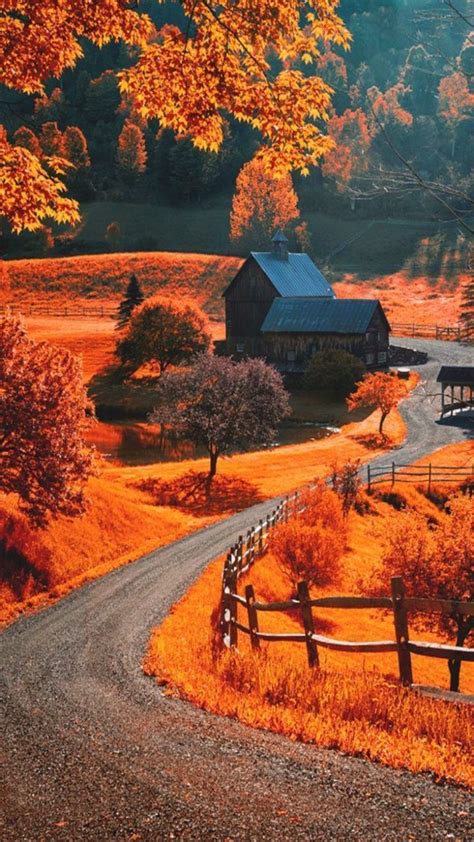 Autumn Fire Wallpapers Wallpaper Cave