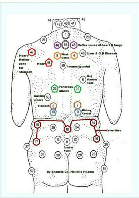 Pin By Benny Frias On Medicina Bio Energetica Cupping Therapy Hijama Massage Therapy