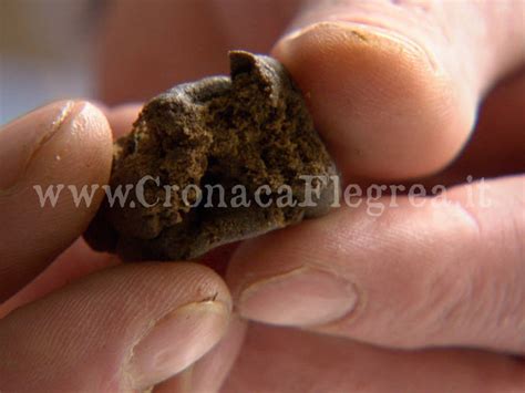 Quarto Spaccio Di Hashish In Strada Preso Un Enne Cronaca Flegrea