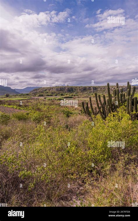 View Of The Landscape Near The Archaeological Site Of Yagul Known As