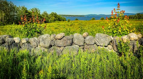 New England Stone Walls Deserve A Science Of Their Own Morning Ag Clips