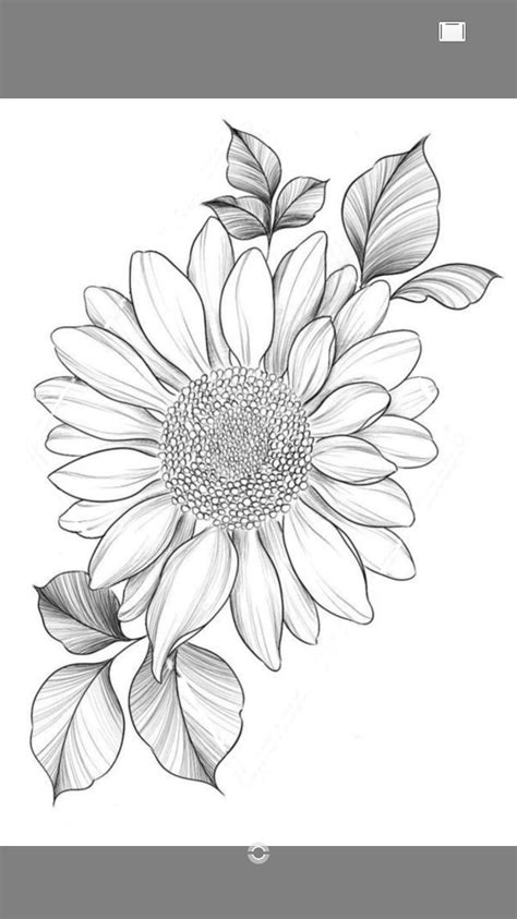 Pin On Flores Flower Drawing Sunflower Sketches Sunflower Drawing