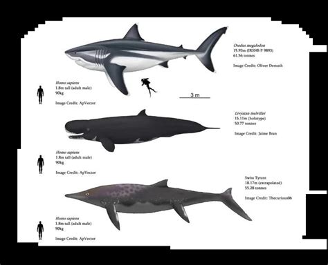 The Biggest Macropredators To Ever Exist Rhyperpredators