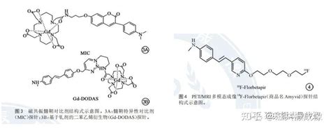 髓鞘探针在脱髓鞘疾病的应用进展 - 知乎