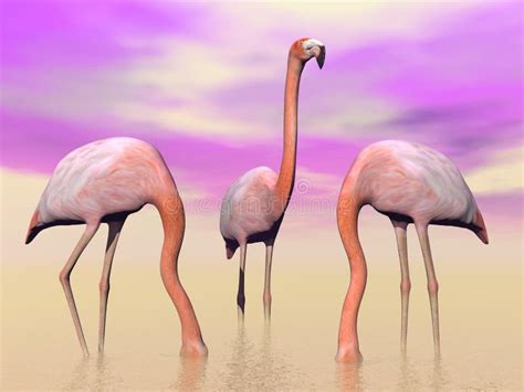 Flamingos And Water Lilies 3D Render Stock Illustration