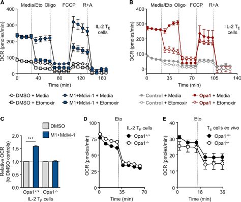 Figure From Mitochondrial Dynamics Controls T Cell Fate Through